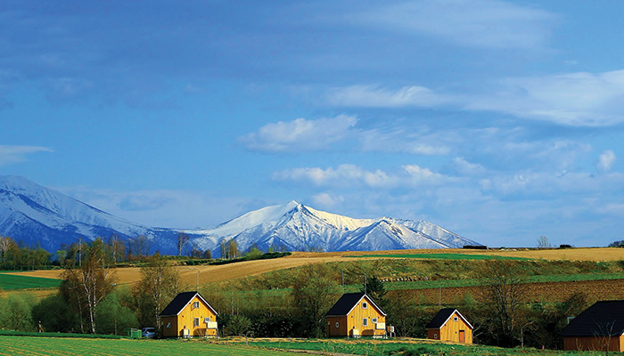 Blissful Summer in Hokkaido, Japan: A Symphony of Nature's Charms